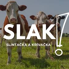Slak obr.